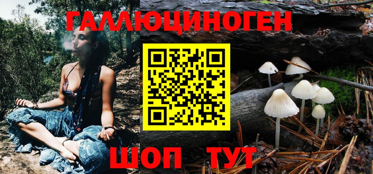 Гулькевичи  Псилоцибиновые грибы прущие грибы  закладки  Псилоцибиновые грибы Psilocybe  Вход с VPN 